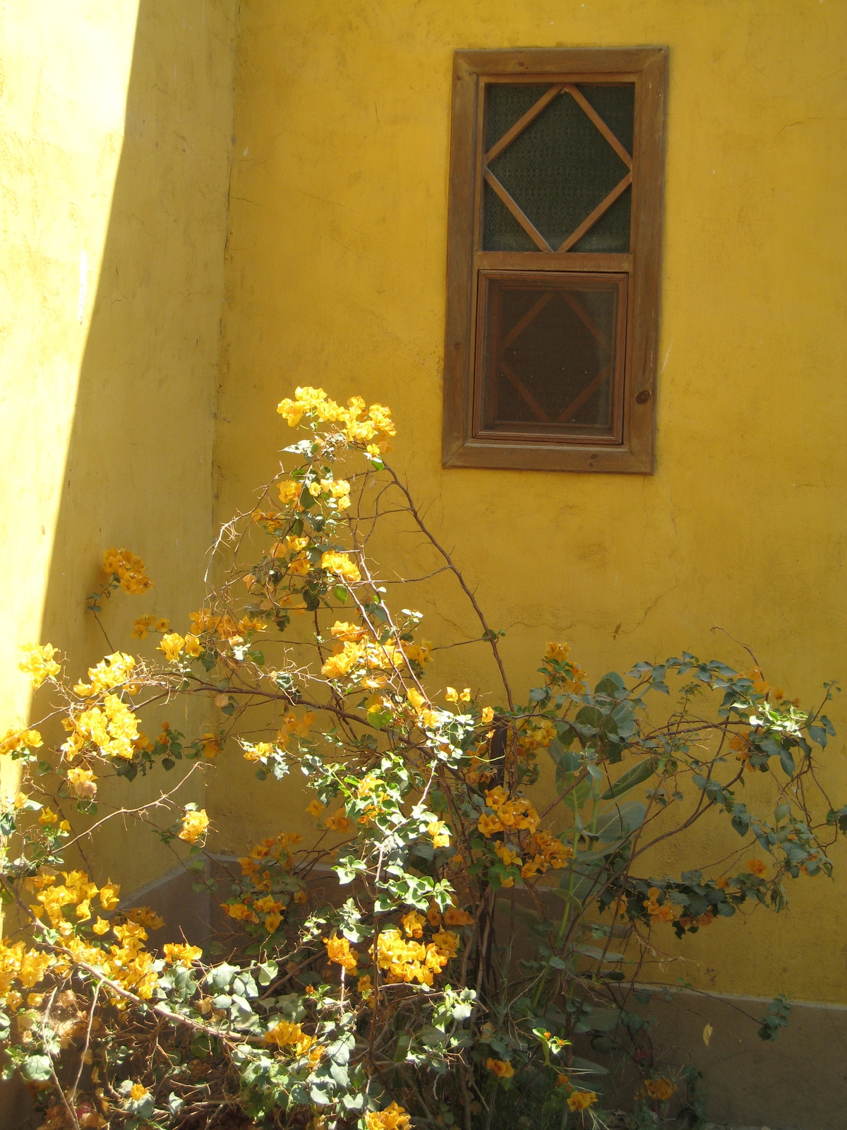รูปถ่าย อียิปต์(Egypt) ลูซอร์(Luxor) โรงแรมอัลมูดีรา(Al Moudira Hotel) 2007-04 11