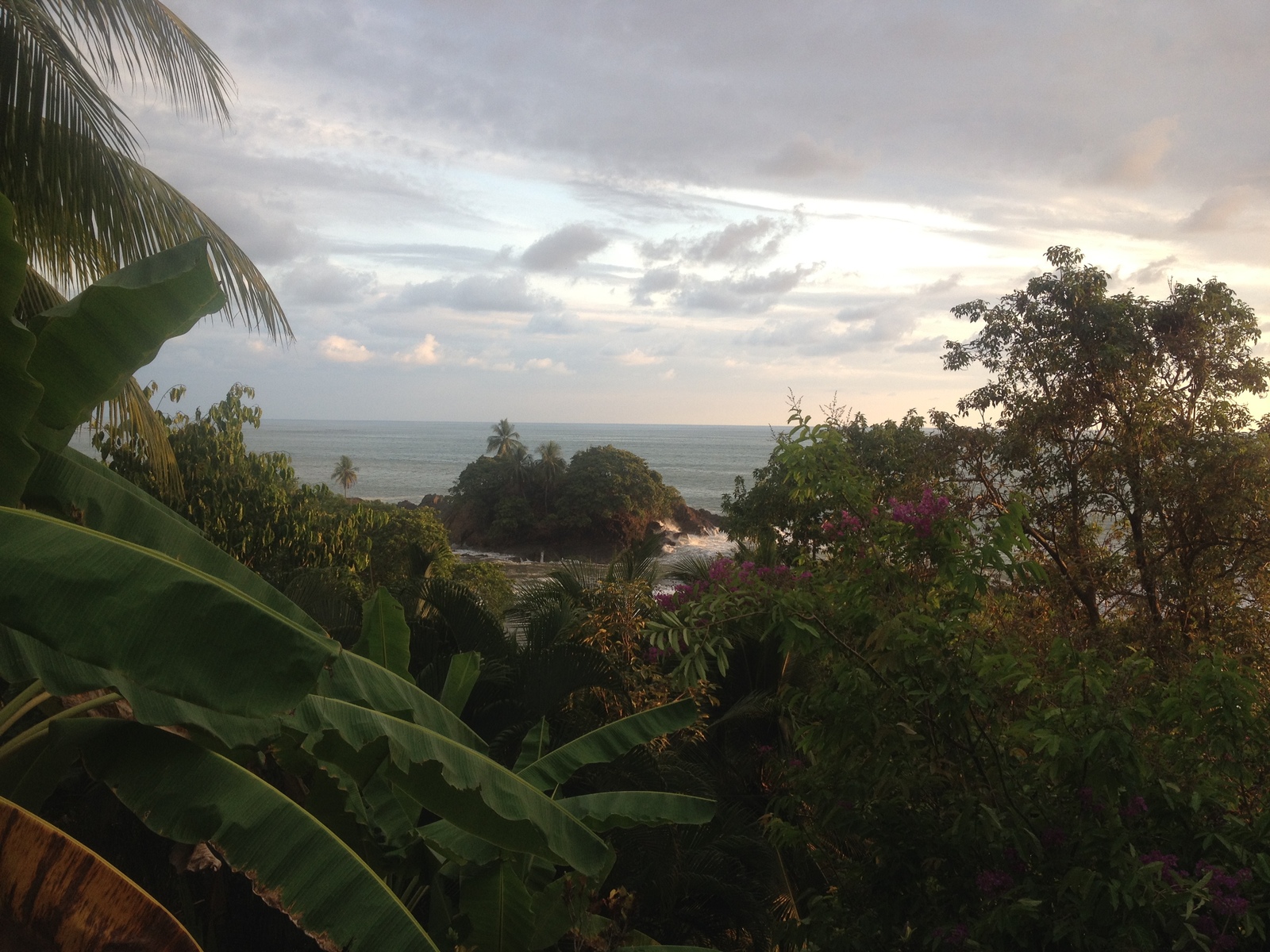 รูปถ่าย คอสตาริกา(Costa Rica) โดมินิกัล(Dominical) 2015-03 18