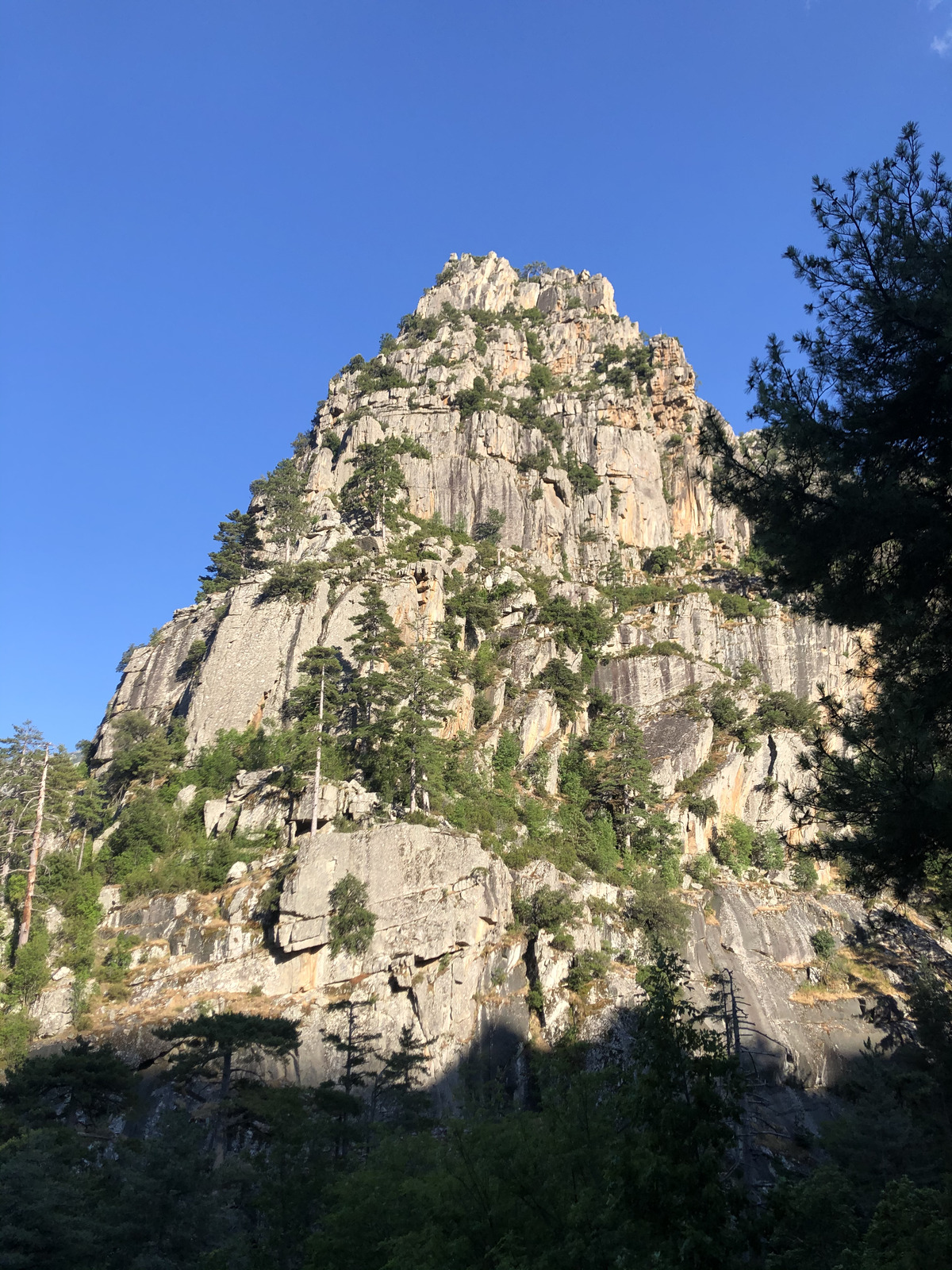 รูปถ่าย ฝรั่งเศส(France) คอร์สิคา(Corsica) หุบเขาลาเรสโตนีกา(La Restonica) 2020-07 49