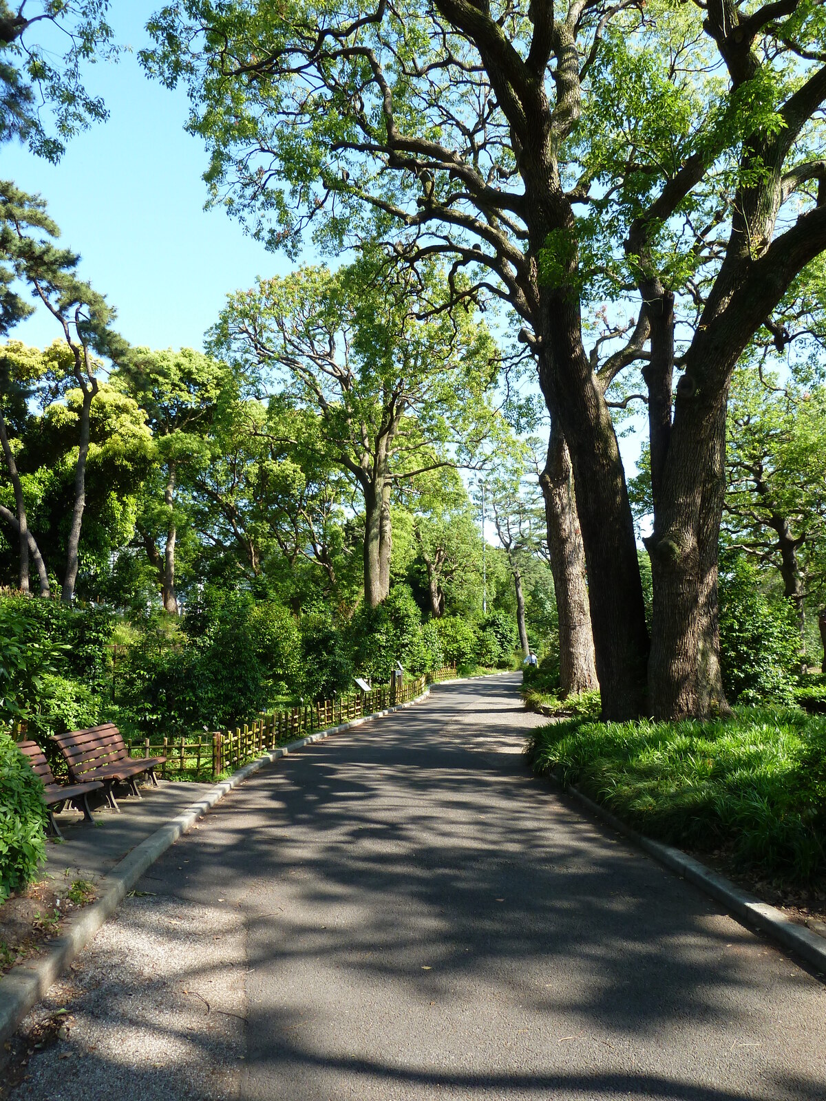 รูปถ่าย ญี่ปุ่น(Japan) โตเกียว(Tokyo) พระราชวังหลวง(Imperial Palace) 2010-06 76