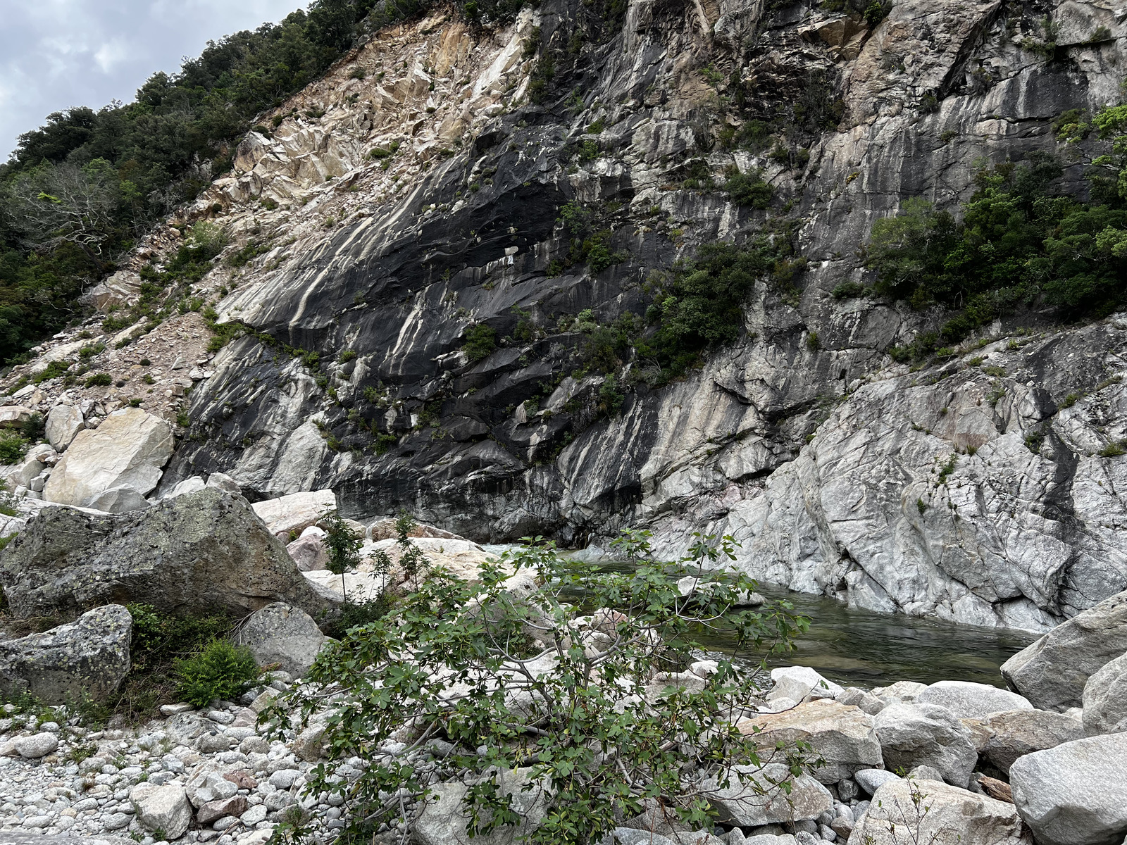 รูปถ่าย ฝรั่งเศส(France) คอร์สิคา(Corsica) คีซา(Chisa) 2023-06 7