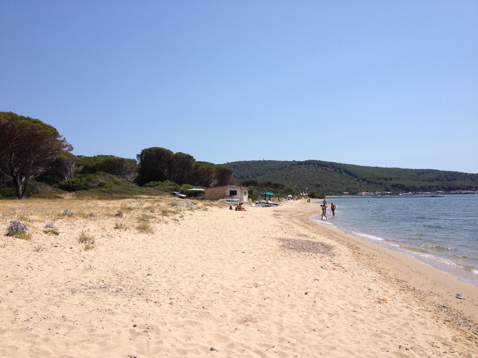 รูปถ่าย อิตาลี(Italy) ซาร์ดิเนีย(Sardinia) อัลเกโร(Alghero) 2015-06 9