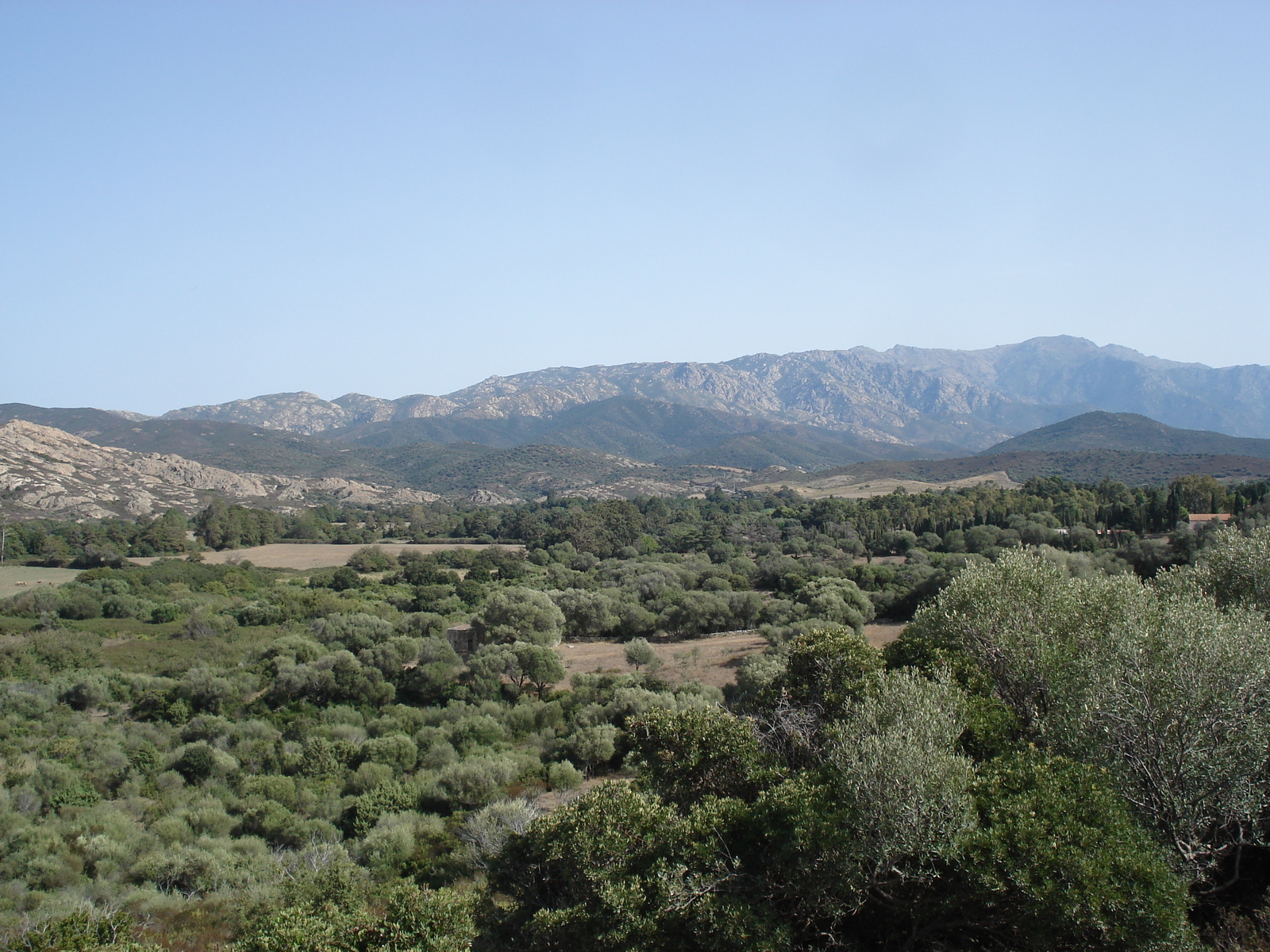 รูปถ่าย ฝรั่งเศส(France) คอร์สิคา(Corsica) ทะเลทรายอากรียาต(Agriates Desert) 2006-09 19
