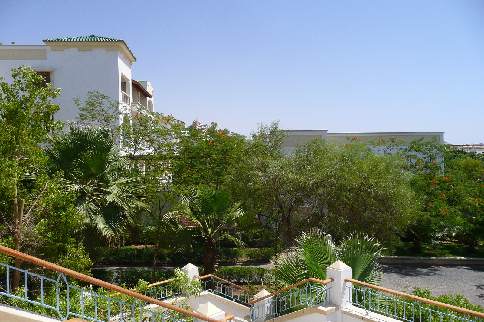 รูปถ่าย อียิปต์(Egypt) ชาร์มเอลชีค(Sharm el Sheikh) โรงแรมไฮแอต(Hyatt Hotel) 2008-06 101