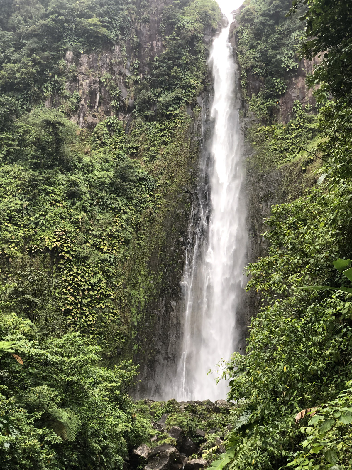 รูปถ่าย กวาเดอลูป(Guadeloupe) น้ำตกการ์เบ(Carbet Falls) 2021-02 51