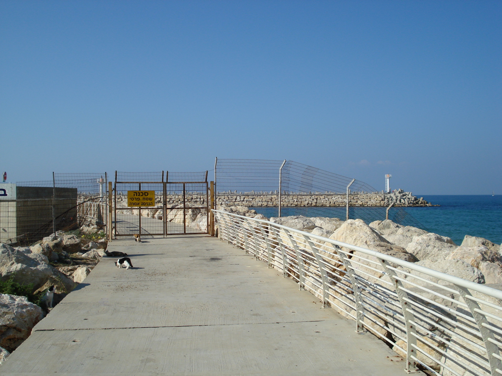 รูปถ่าย อิสราเอล(Israel) เฮิร์สลียา(Herzliya) 2006-12 35