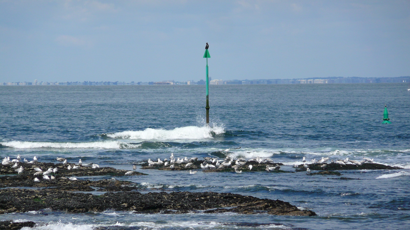 รูปถ่าย ฝรั่งเศส(France) เพรฟาย(Prefailles) แหลมแซ็ง-ฌีลดา(La pointe Saint Gildas) 2007-08 0