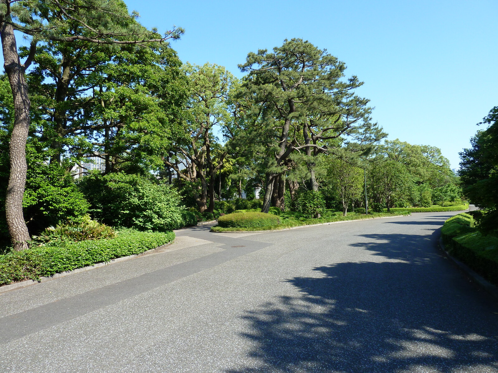 รูปถ่าย ญี่ปุ่น(Japan) โตเกียว(Tokyo) พระราชวังหลวง(Imperial Palace) 2010-06 77