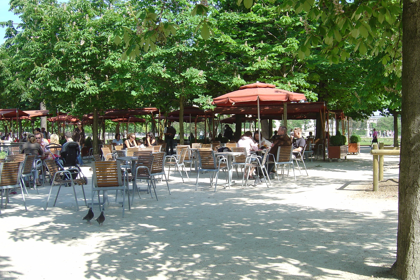 รูปถ่าย ฝรั่งเศส(France) ปารีส(Paris) สวนตุยเลอรี(Garden of Tuileries) 2007-05 331