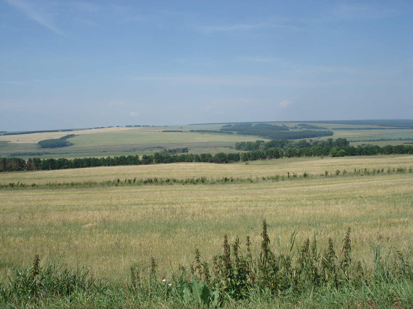 รูปถ่าย รัสเซีย(Russia) จากอูฟาไปคาซาน(From Ufa to Kazan) 2006-07 46
