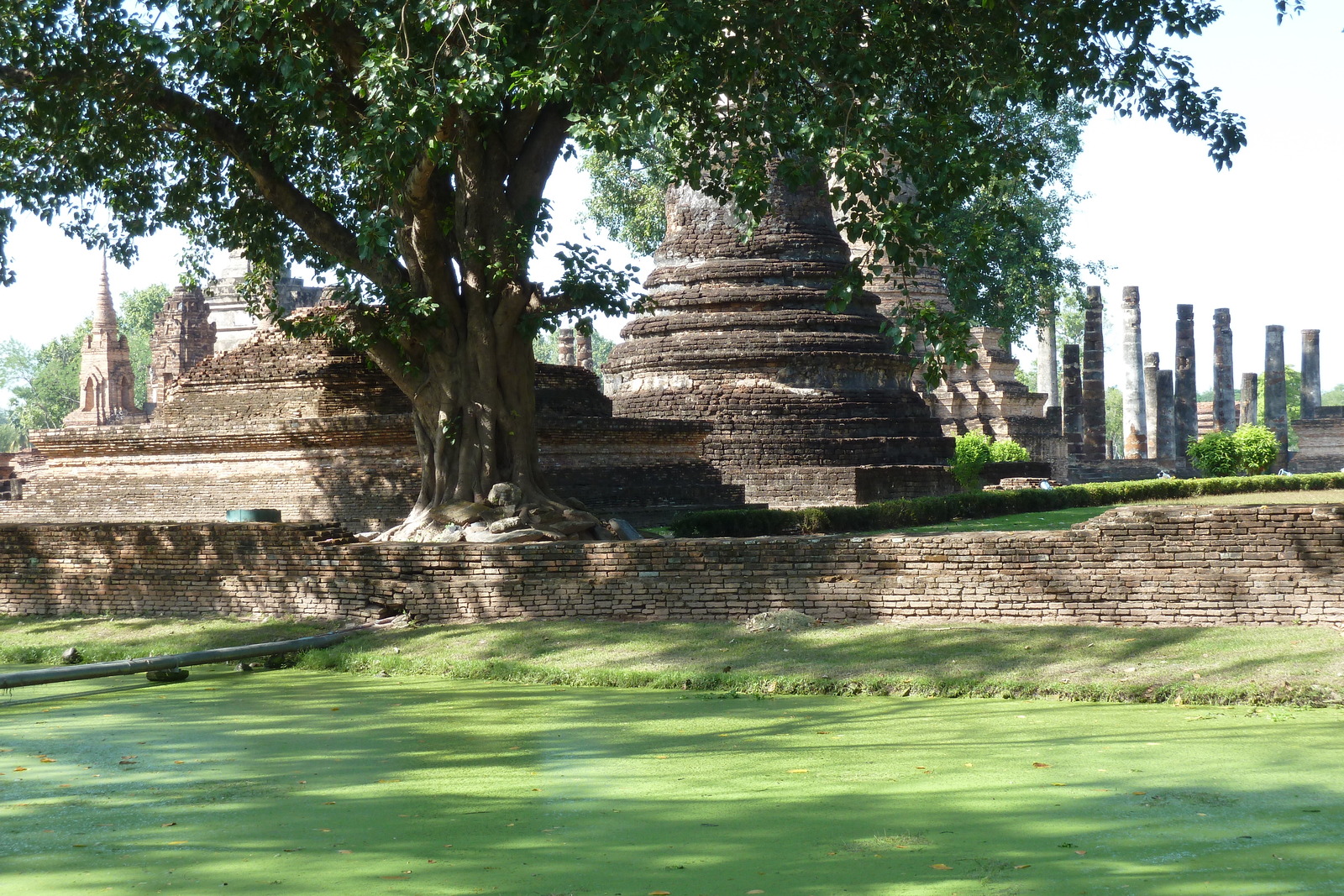 รูปถ่าย ไทย(Thailand) สุโขทัย(Sukhothai) 2010-12 83