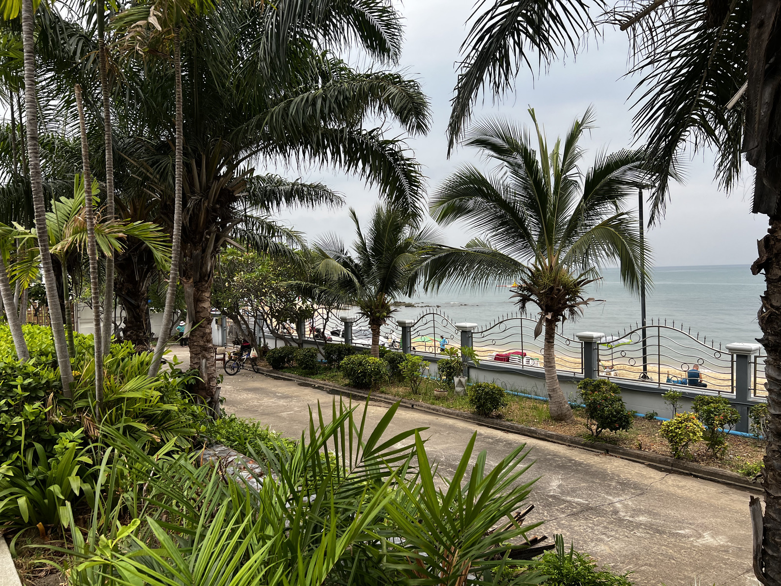 รูปถ่าย ไทย(Thailand) พัทยา(Pattaya) 2023-01 74