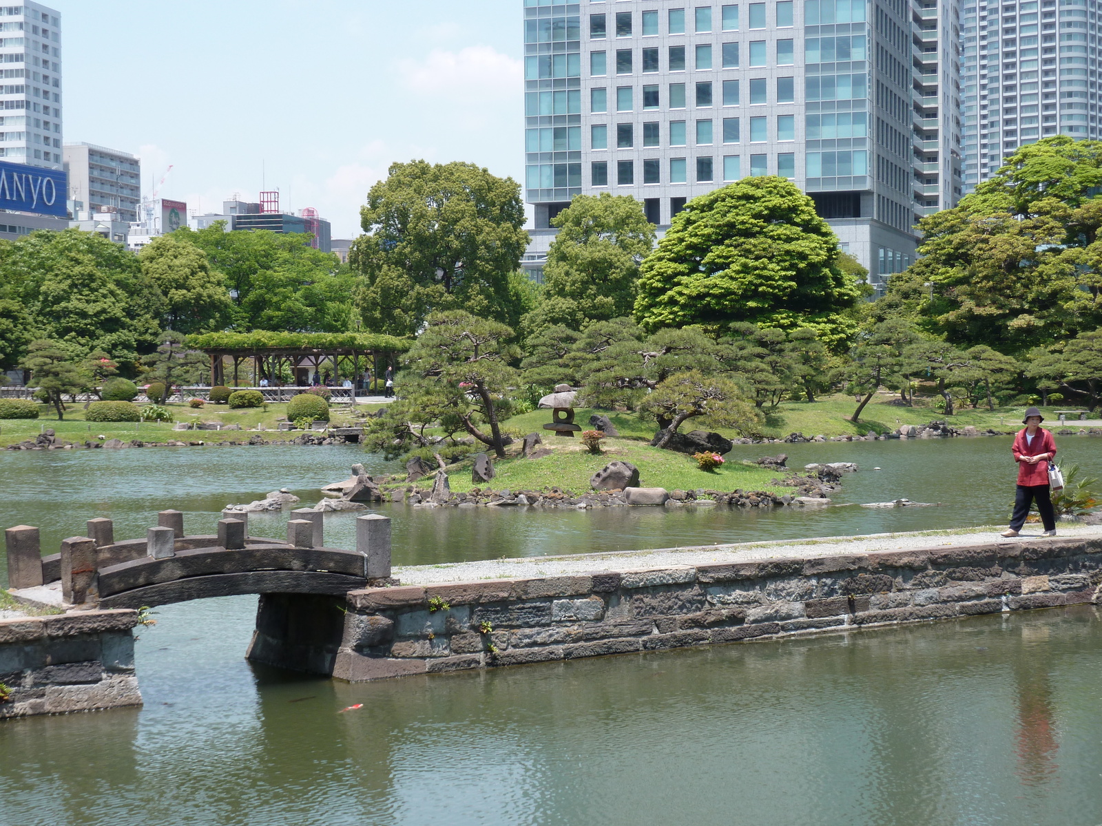รูปถ่าย ญี่ปุ่น(Japan) โตเกียว(Tokyo) สวนคิวชิบะริคิว(Kyu Shiba rikyu Gardens) 2010-06 55