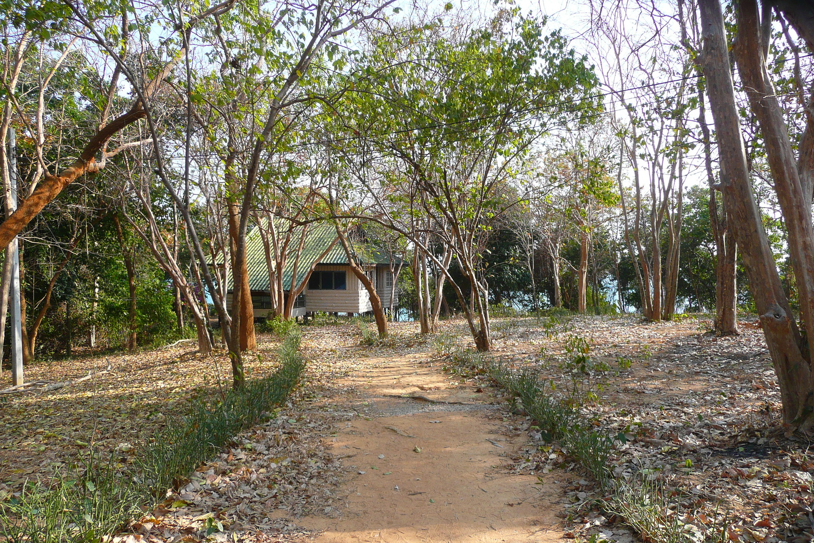 รูปถ่าย ไทย(Thailand) เกาะเสม็ด(Ko Samet) 2009-01 76