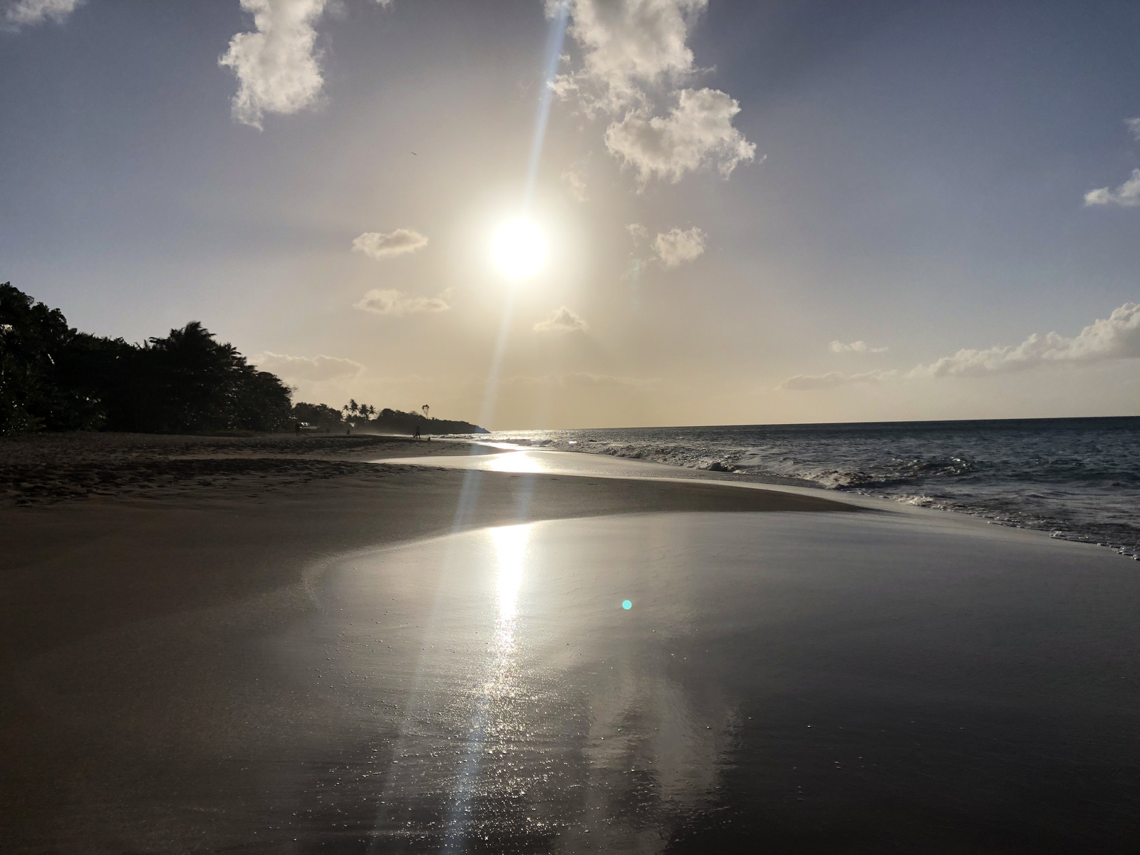 รูปถ่าย กวาเดอลูป(Guadeloupe) หาดลาแปร์ล(La Perle Beach) 2021-02 115