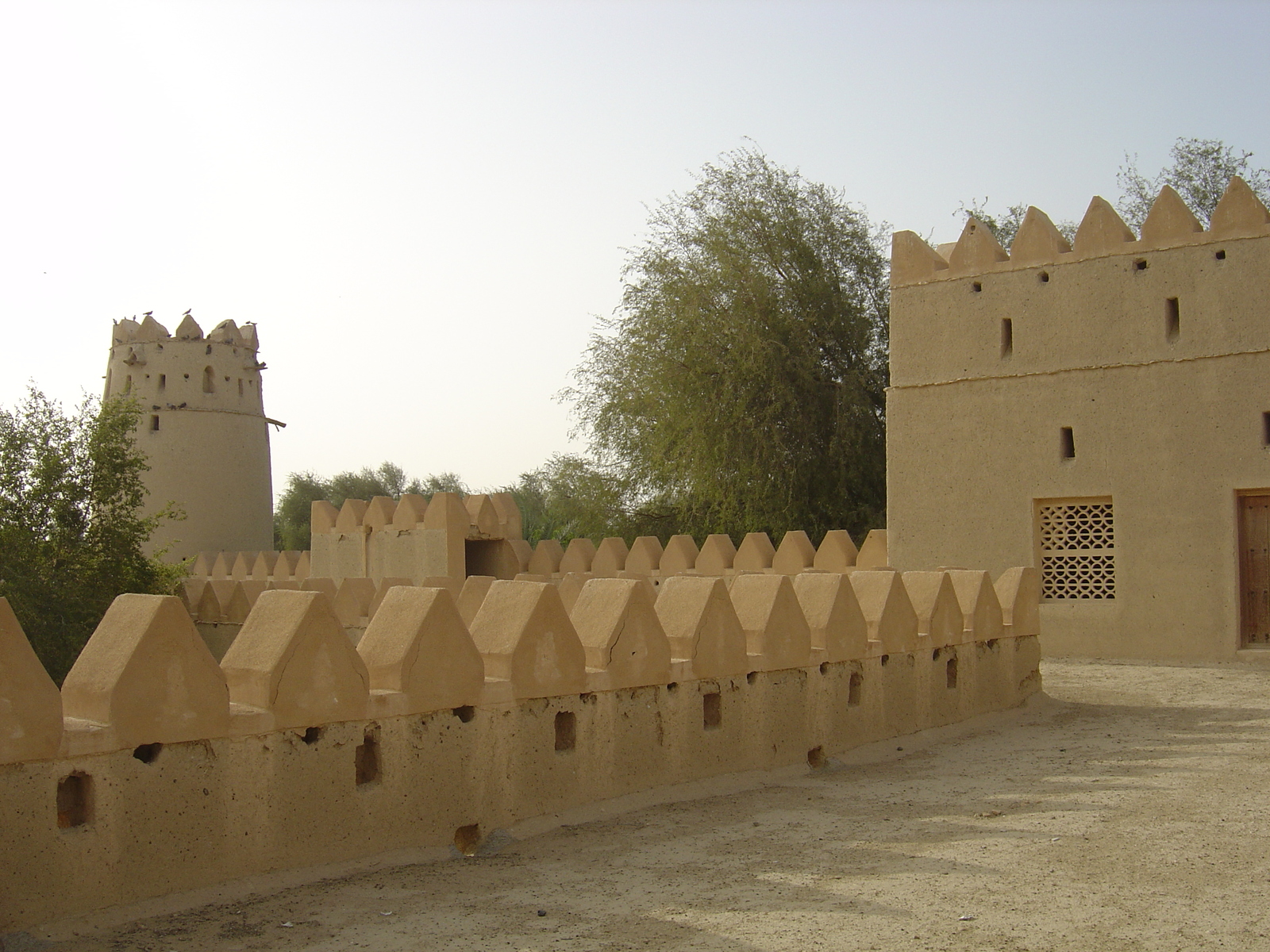 รูปถ่าย สหรัฐอาหรับเอมิเรตส์(United Arab Emirates) อาเลอิน(Al Ain) ป้อมจาลี(Jahli Fort) 2005-03 23