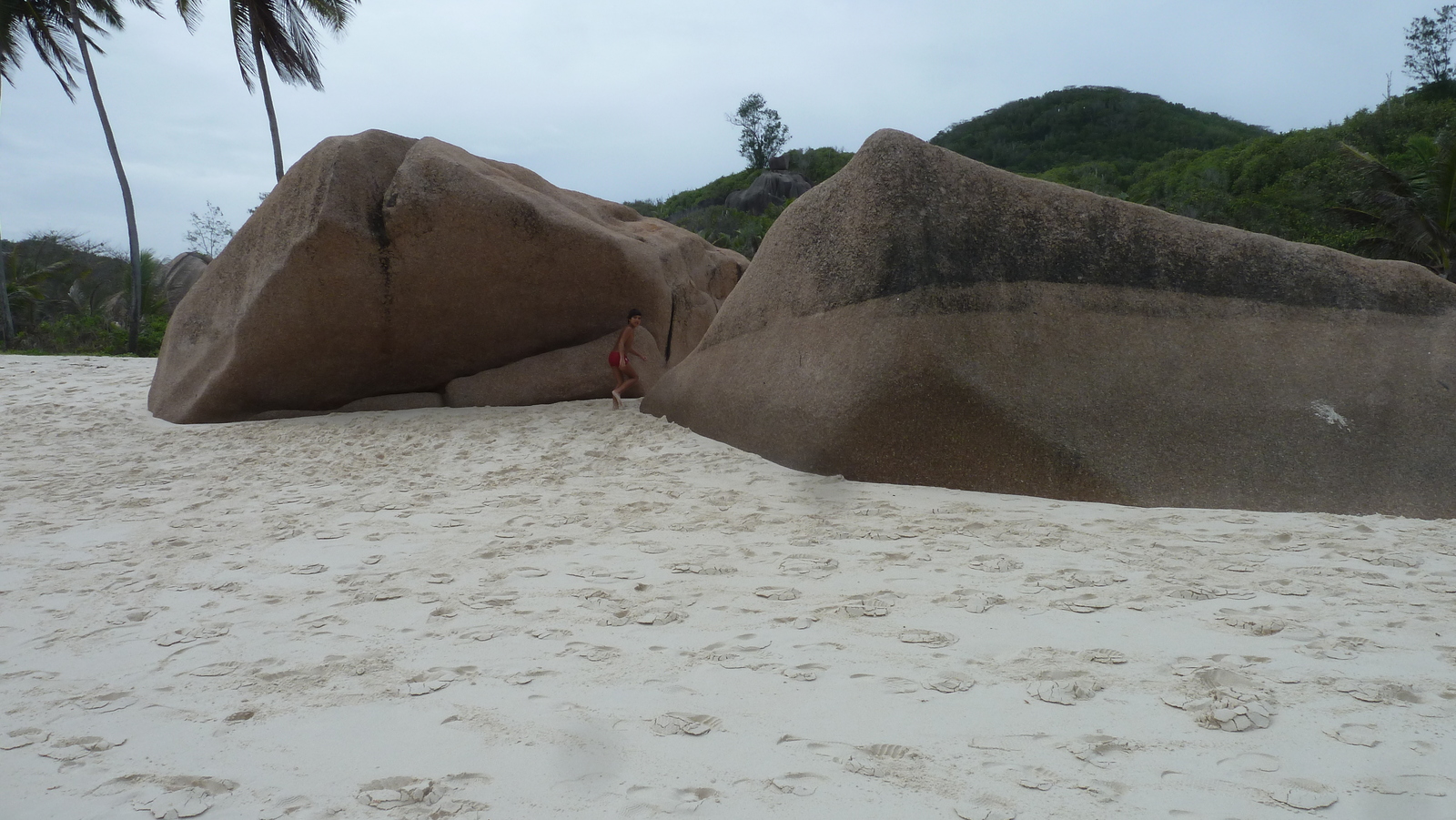 รูปถ่าย เซเชลส์(Seychelles) เกาะลาดีก(La Digue) 2011-10 138