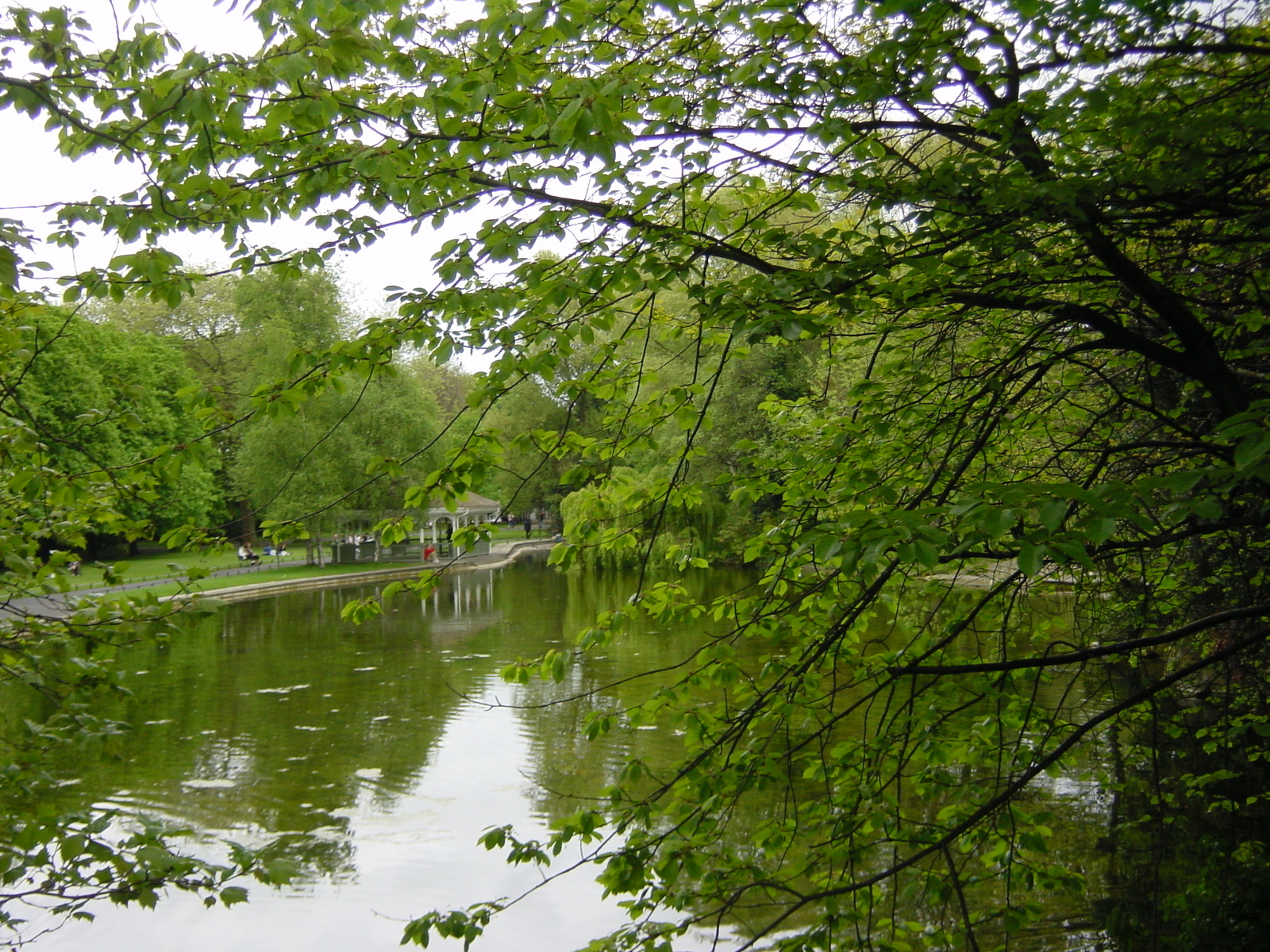รูปถ่าย ไอร์แลนด์(Ireland) ดับลิน(Dublin) 2004-05 14