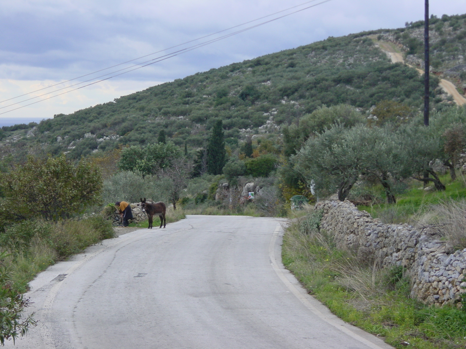 รูปถ่าย กรีก(Greece) เปลโลโปเนส(Peloponnese) 2003-12 58