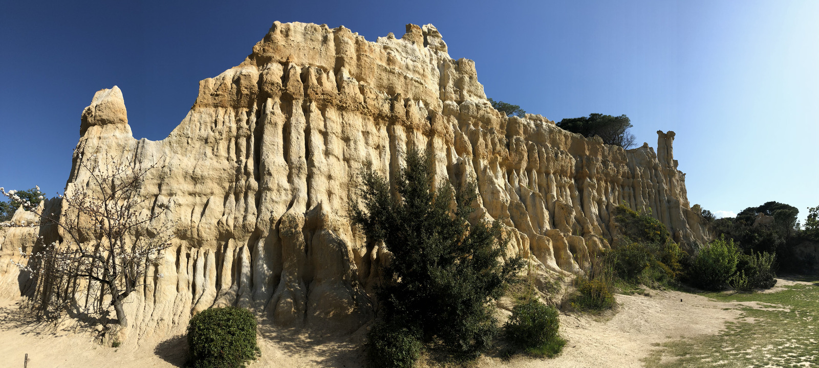 รูปถ่าย ฝรั่งเศส(France) เสาหินออร์กดีล-ซูร์-แต็ต(Orgues d'Ille Sur Tet) 2018-04 89