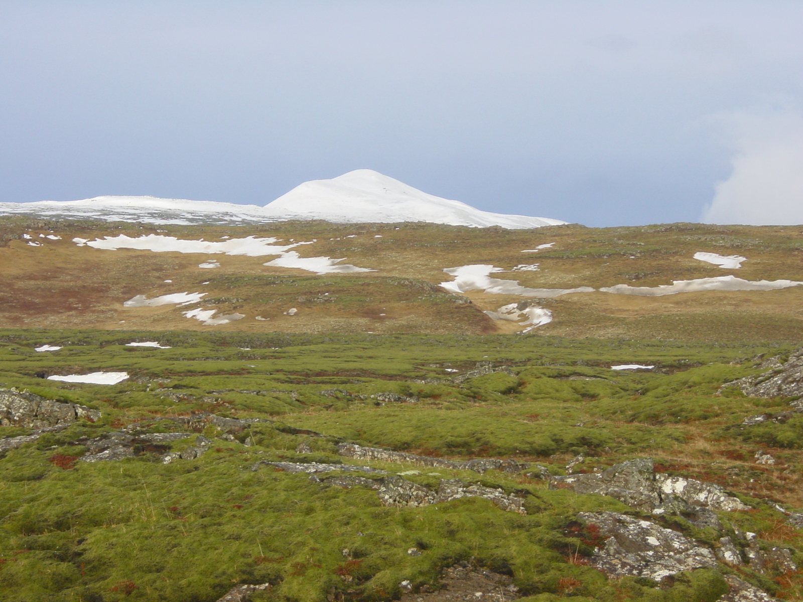 รูปถ่าย ไอซ์แลนด์(Iceland) ถนนหมายเลข 39 ไปเรคยาวิก(Road 39 to Reykjavik) 2003-03 26