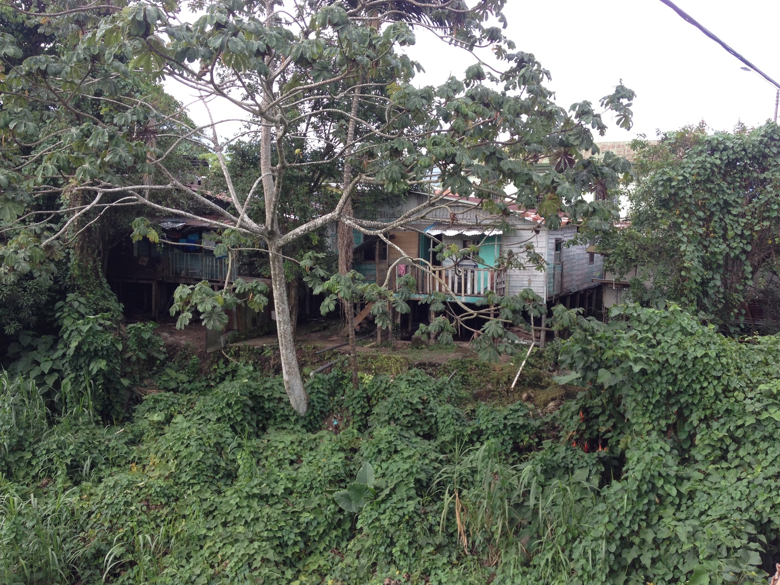 รูปถ่าย คอสตาริกา(Costa Rica) ตูร์รีอัลบา(Turrialba) 2015-03 24
