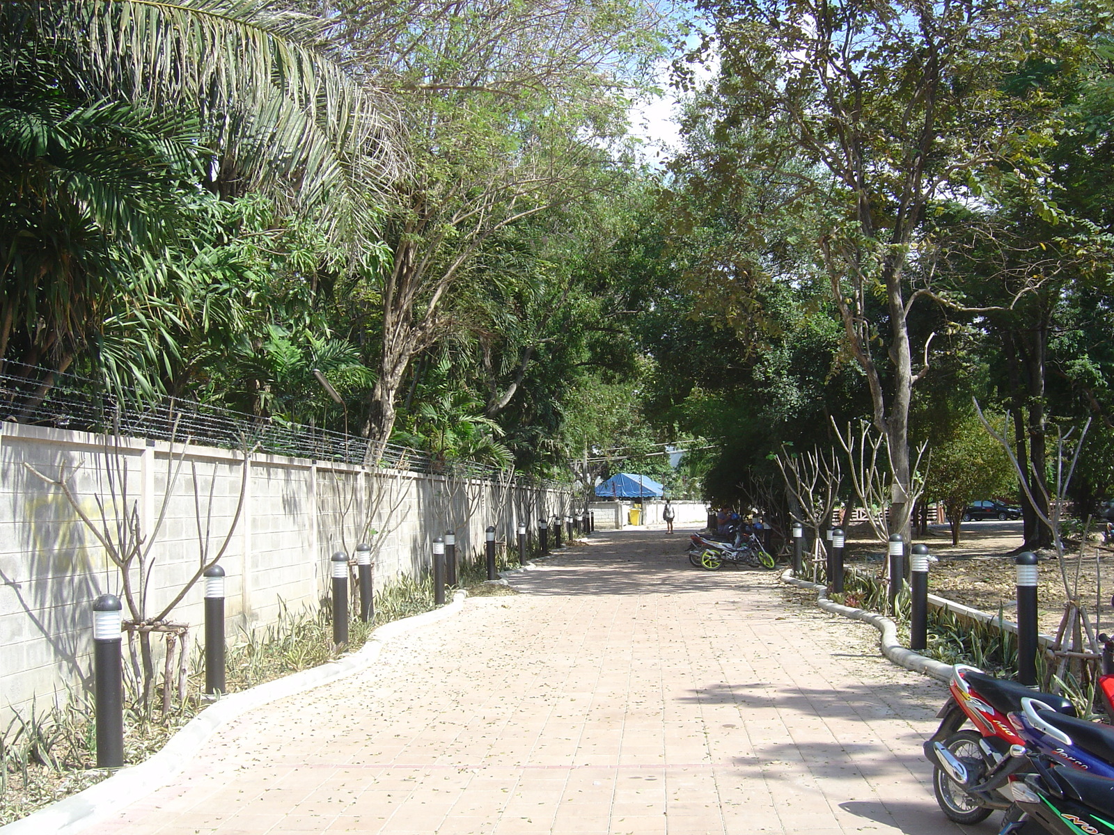 รูปถ่าย ไทย(Thailand) พัทยา(Pattaya) 2006-01 22