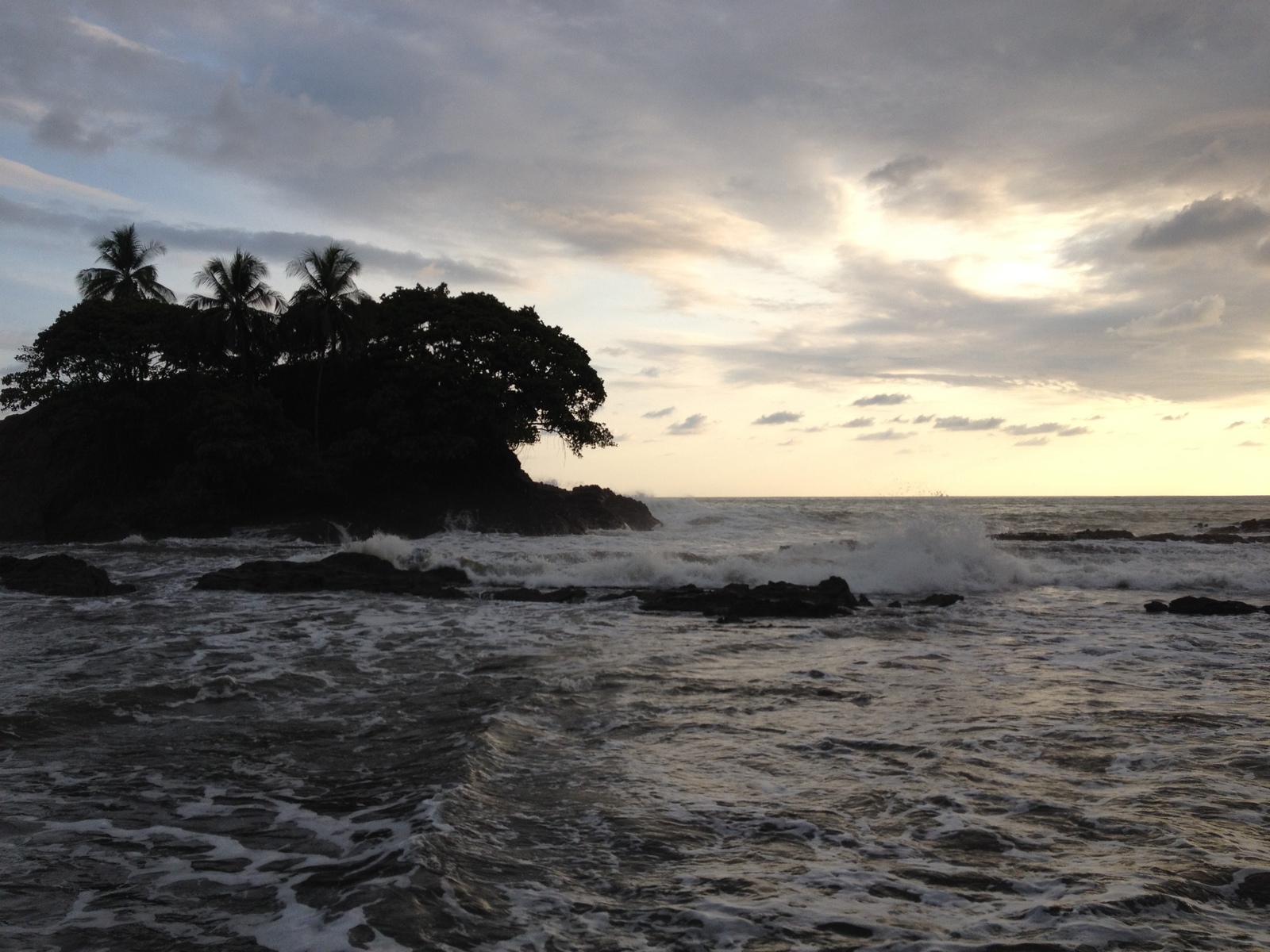 รูปถ่าย คอสตาริกา(Costa Rica) โดมินิกัล(Dominical) 2015-03 149