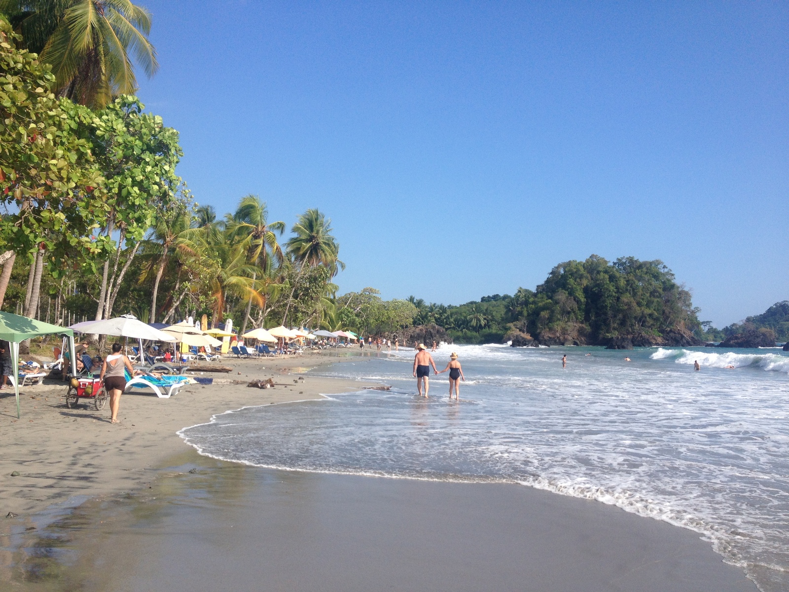 รูปถ่าย คอสตาริกา(Costa Rica) มานวยล์อันโตนีโอ(Manuel Antonio) 2015-03 187