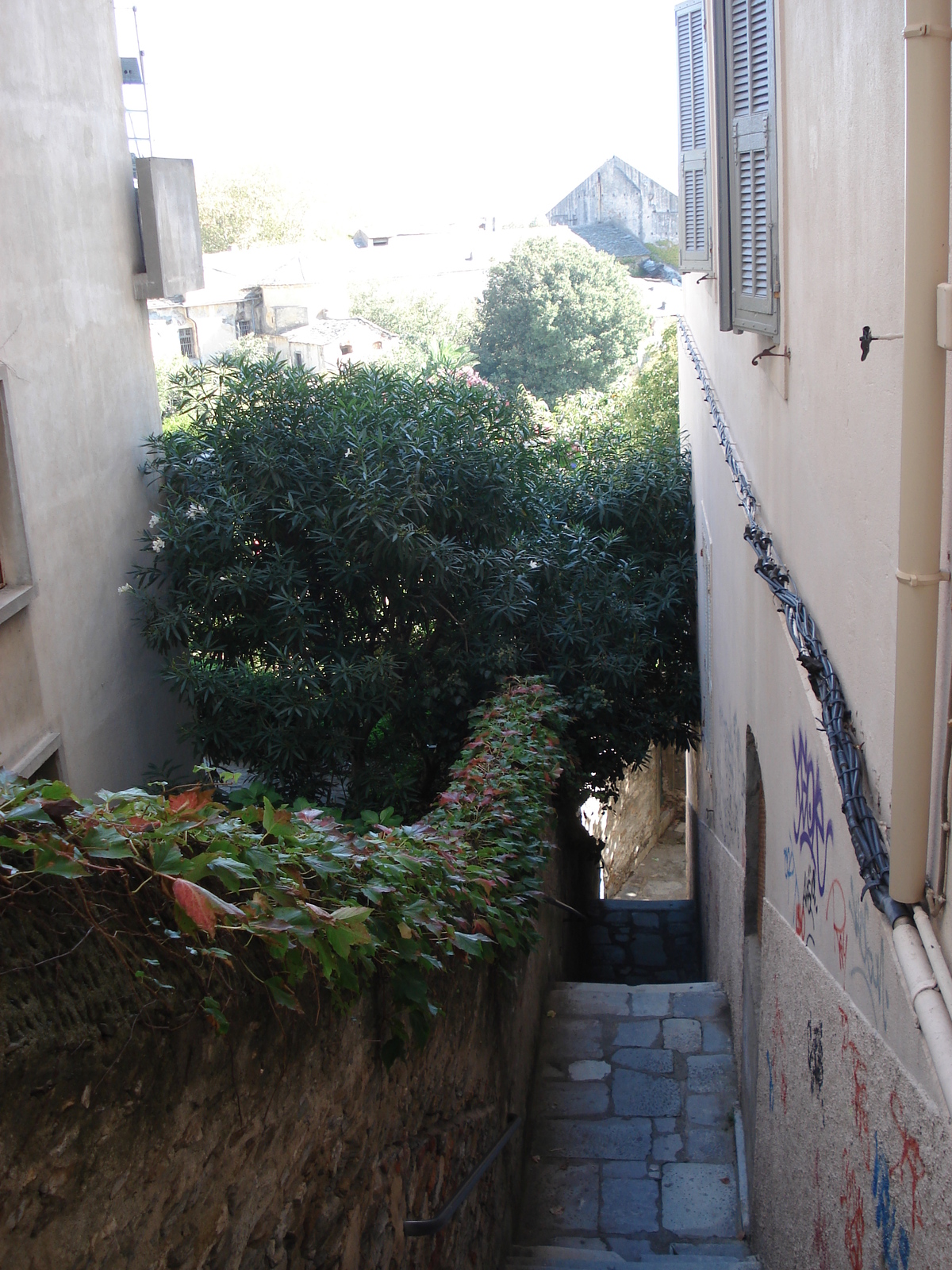 รูปถ่าย ฝรั่งเศส(France) คอร์สิคา(Corsica) บาสเทีย(Bastia) 2006-09 197