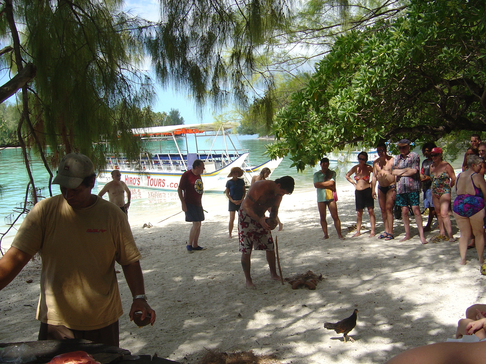 รูปถ่าย เฟรนช์โพลี่นีเซีย(Polynesia) มูเรีย(Moorea) 2006-04 33