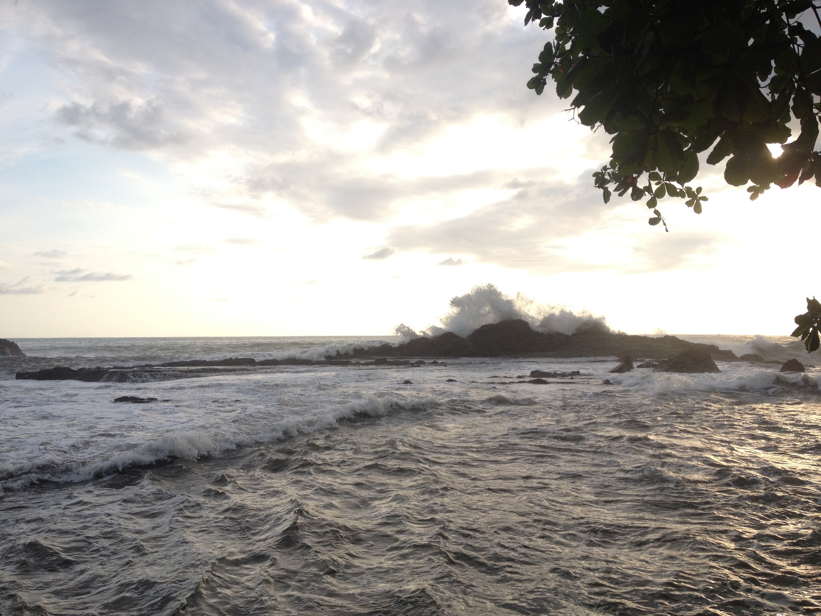 รูปถ่าย คอสตาริกา(Costa Rica) โดมินิกัล(Dominical) 2015-03 27