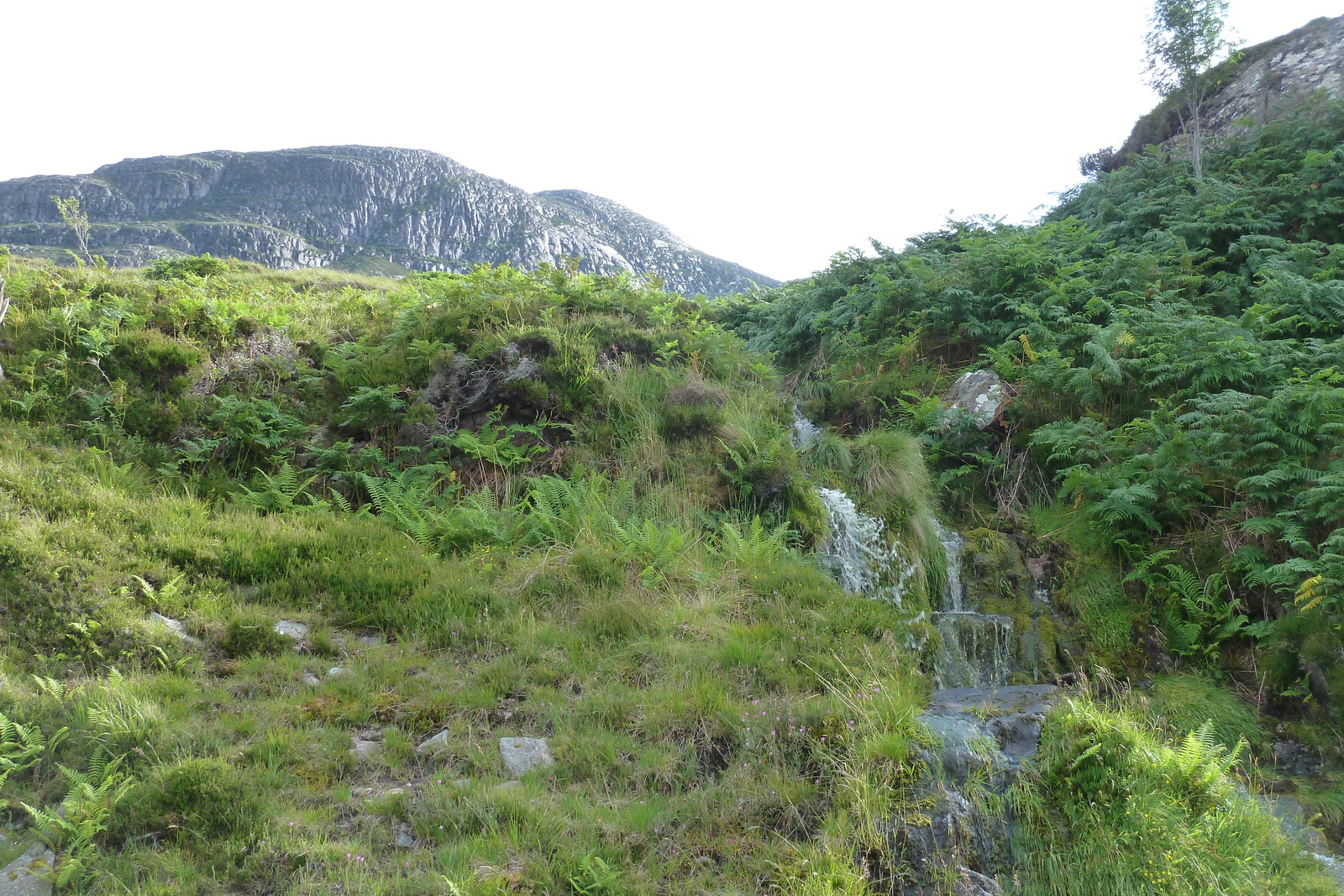รูปถ่าย อังกฤษ(United Kingdom) เวสเตอร์รอสส์(Wester Ross) 2011-07 85