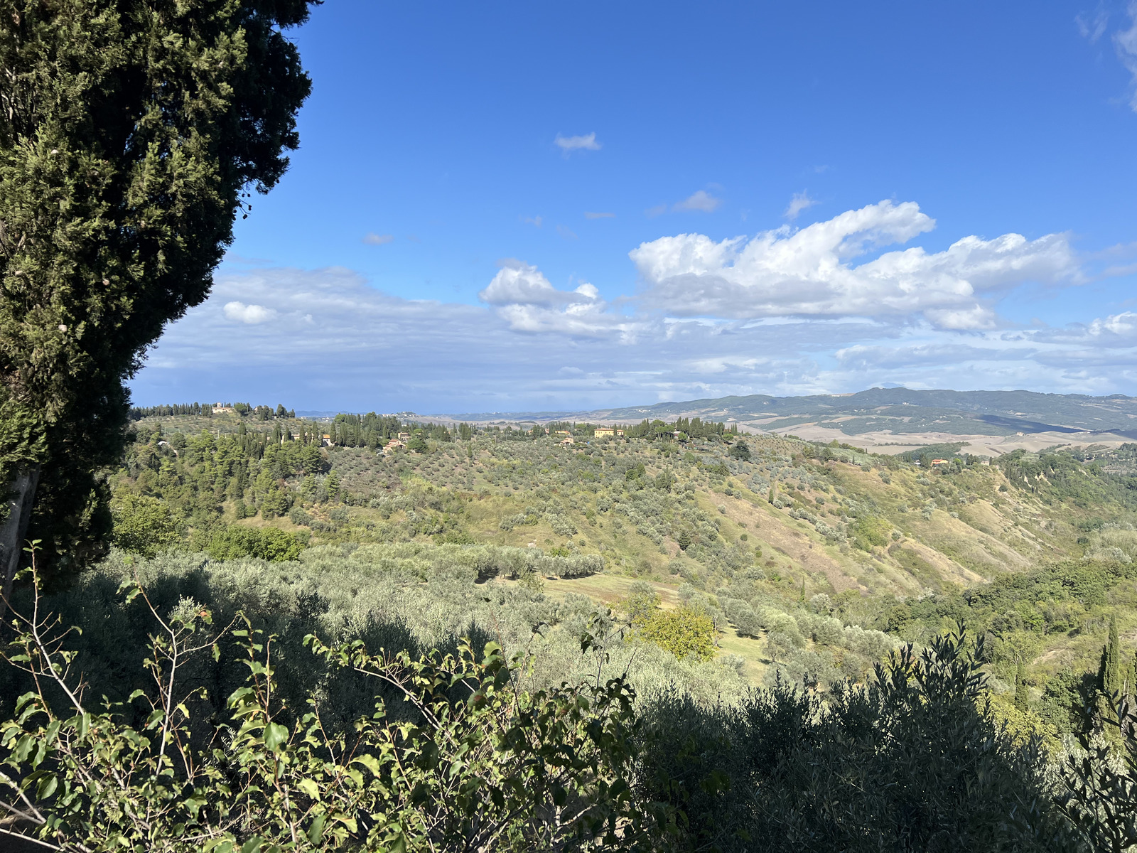 รูปถ่าย อิตาลี(Italy) ทัสคานี(Tuscany) 2021-09 3