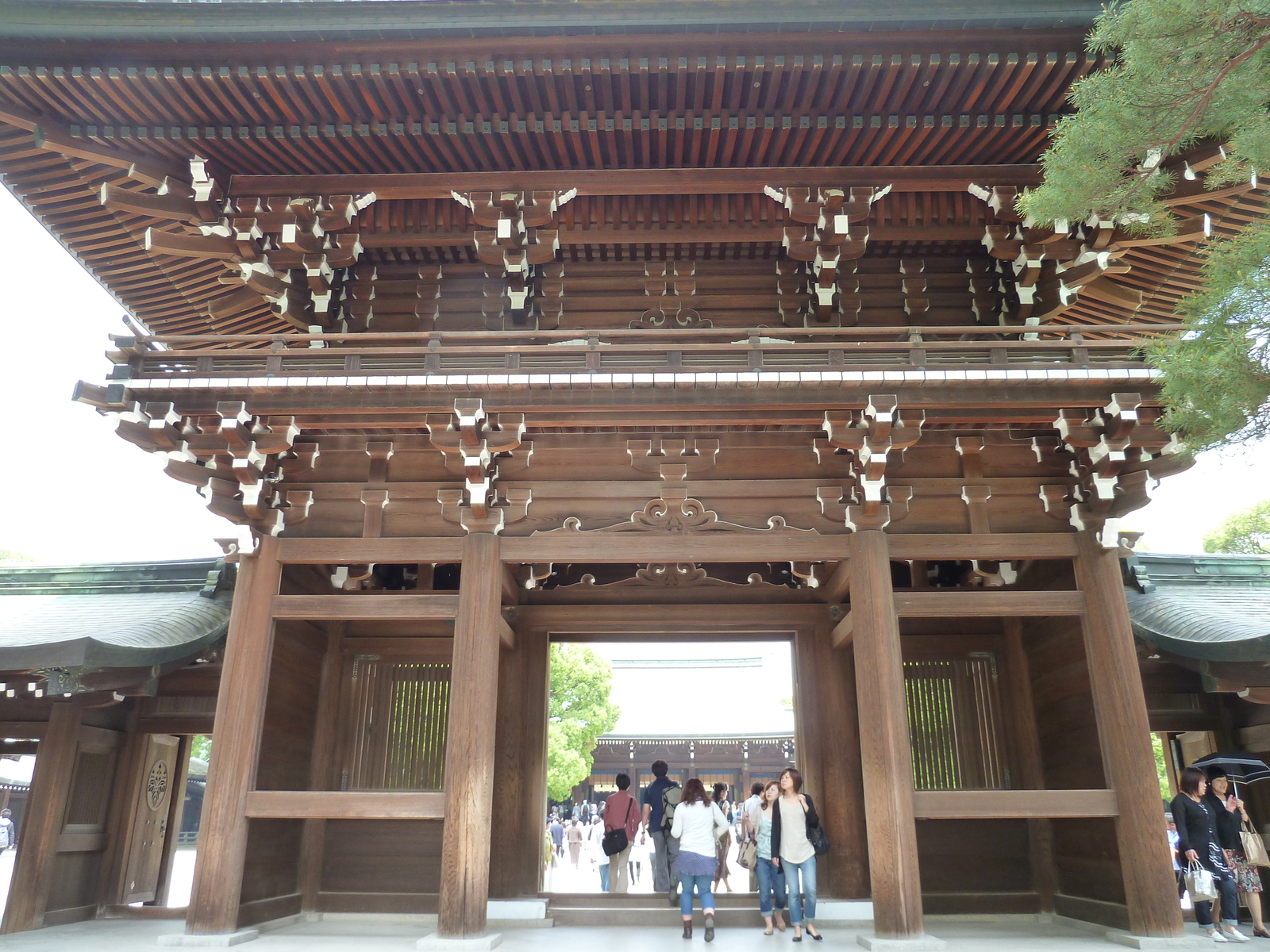 รูปถ่าย ญี่ปุ่น(Japan) โตเกียว(Tokyo) สวนโยโยงิ(Yoyogi Park) 2010-06 6