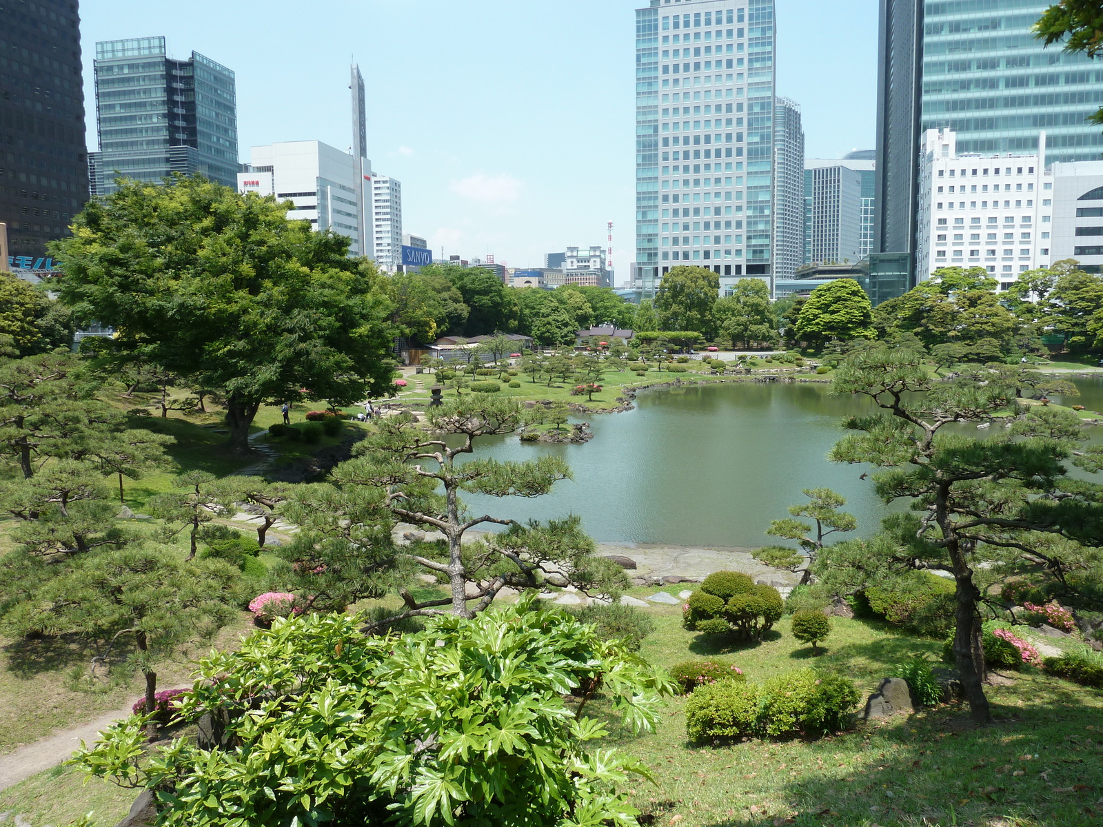 รูปถ่าย ญี่ปุ่น(Japan) โตเกียว(Tokyo) สวนคิวชิบะริคิว(Kyu Shiba rikyu Gardens) 2010-06 41