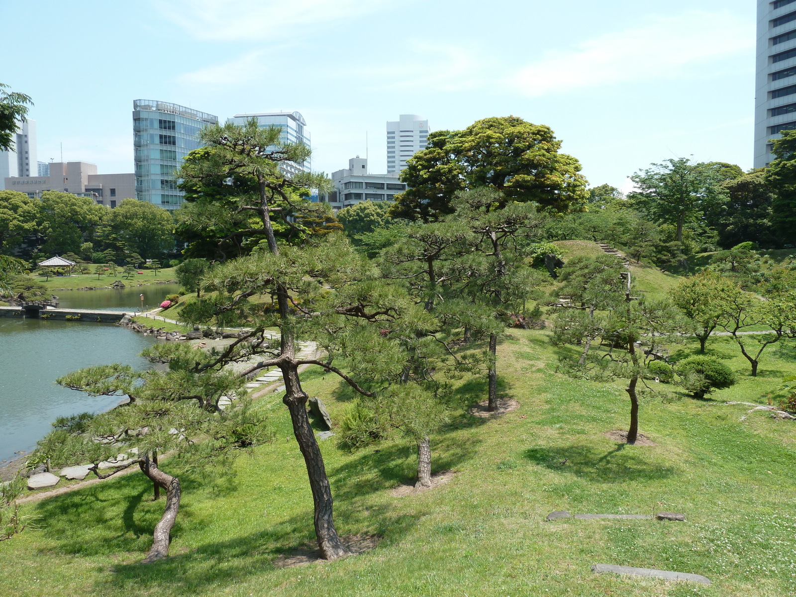 รูปถ่าย ญี่ปุ่น(Japan) โตเกียว(Tokyo) สวนคิวชิบะริคิว(Kyu Shiba rikyu Gardens) 2010-06 62