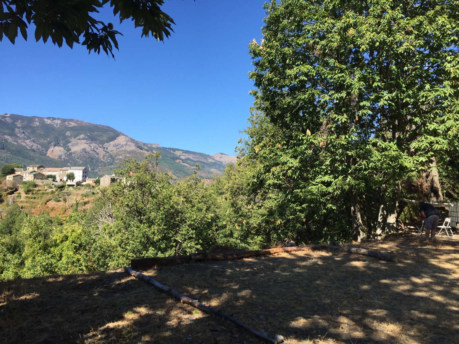 รูปถ่าย ฝรั่งเศส(France) คอร์สิคา(Corsica) เฟลเช(Felce) 2017-09 8