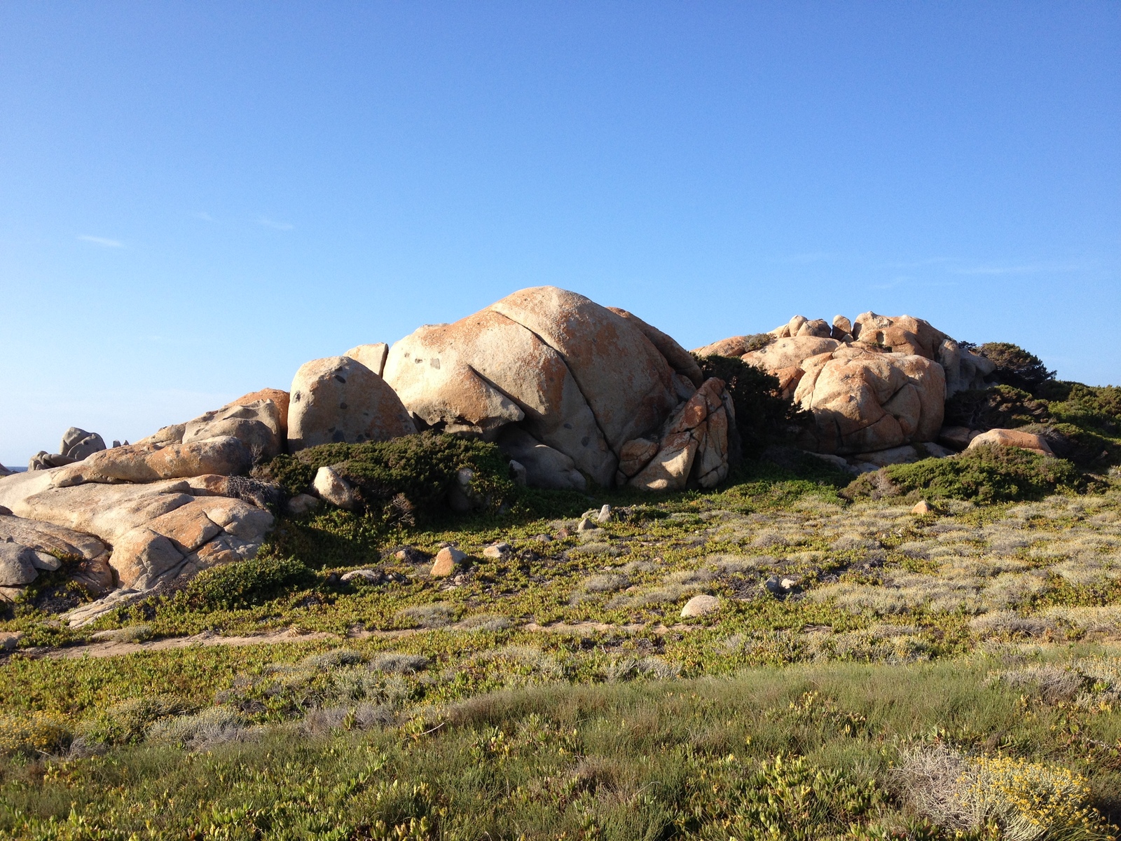 รูปถ่าย อิตาลี(Italy) ซาร์ดิเนีย(Sardinia) ปอร์โตเบลโลดีกัลลูรา(Portobello di Gallura) 2015-06 16