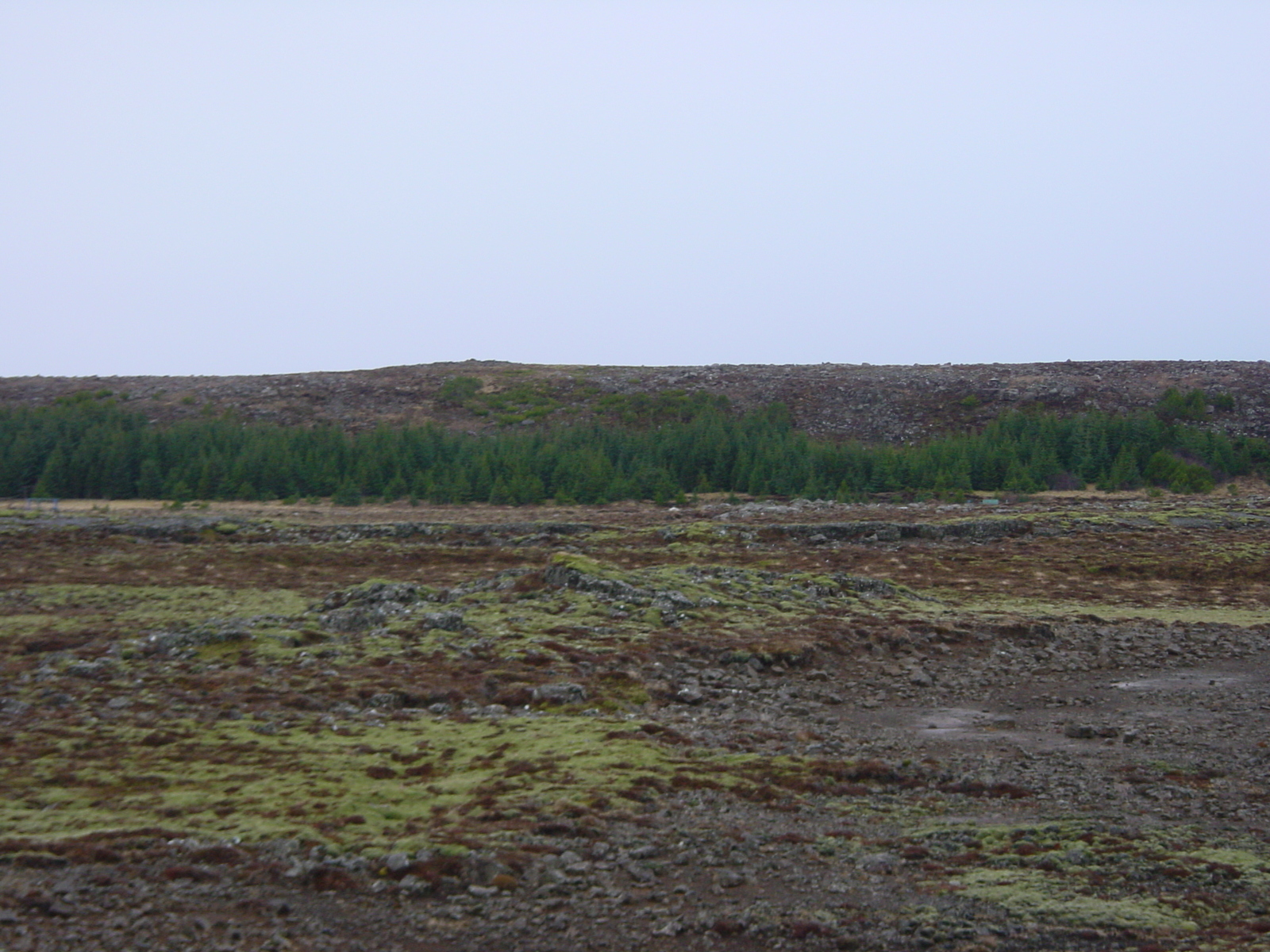 รูปถ่าย ไอซ์แลนด์(Iceland) เรกยะเนส(Reykjanes) 2003-03 12