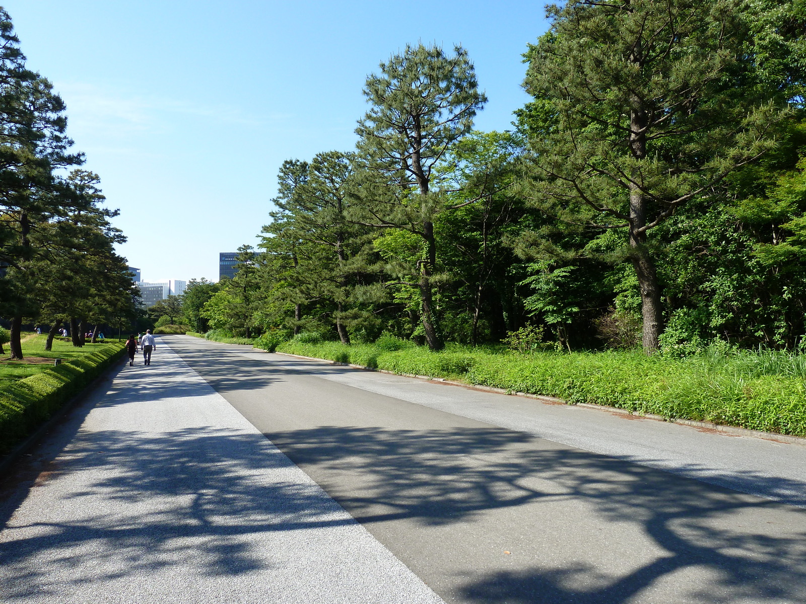 รูปถ่าย ญี่ปุ่น(Japan) โตเกียว(Tokyo) พระราชวังหลวง(Imperial Palace) 2010-06 15