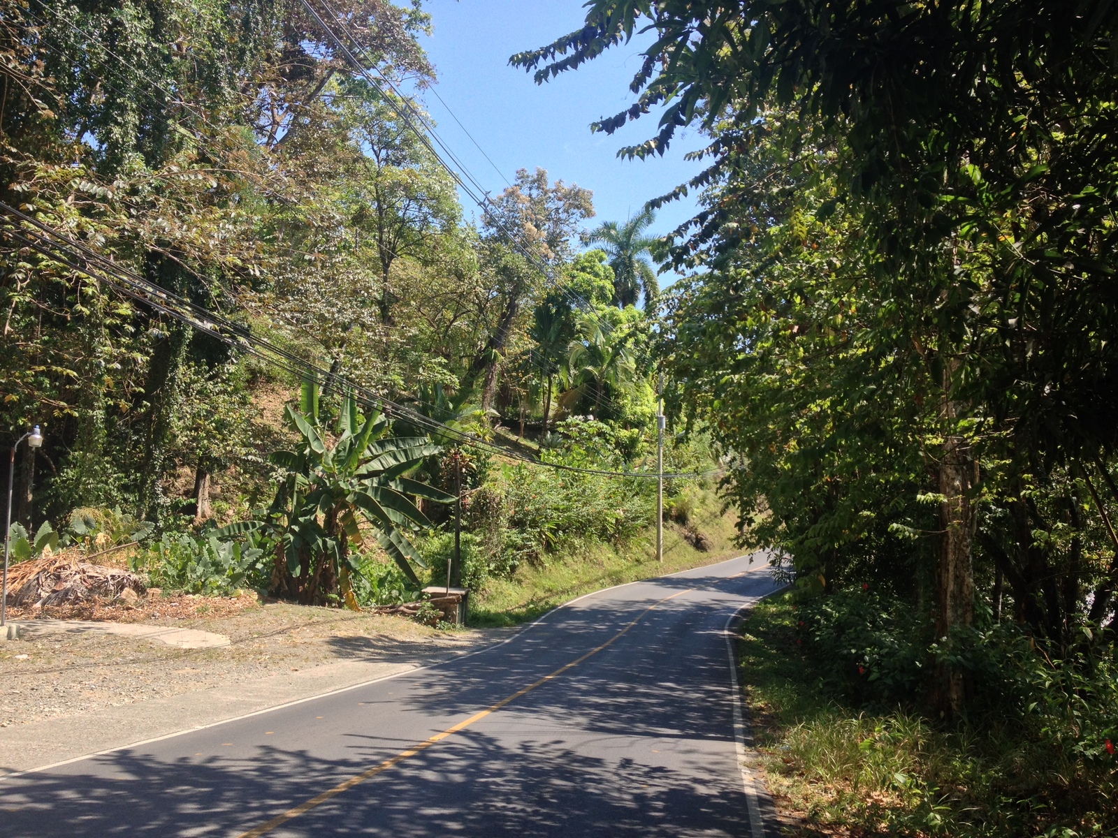 รูปถ่าย คอสตาริกา(Costa Rica) มานวยล์อันโตนีโอ(Manuel Antonio) 2015-03 150