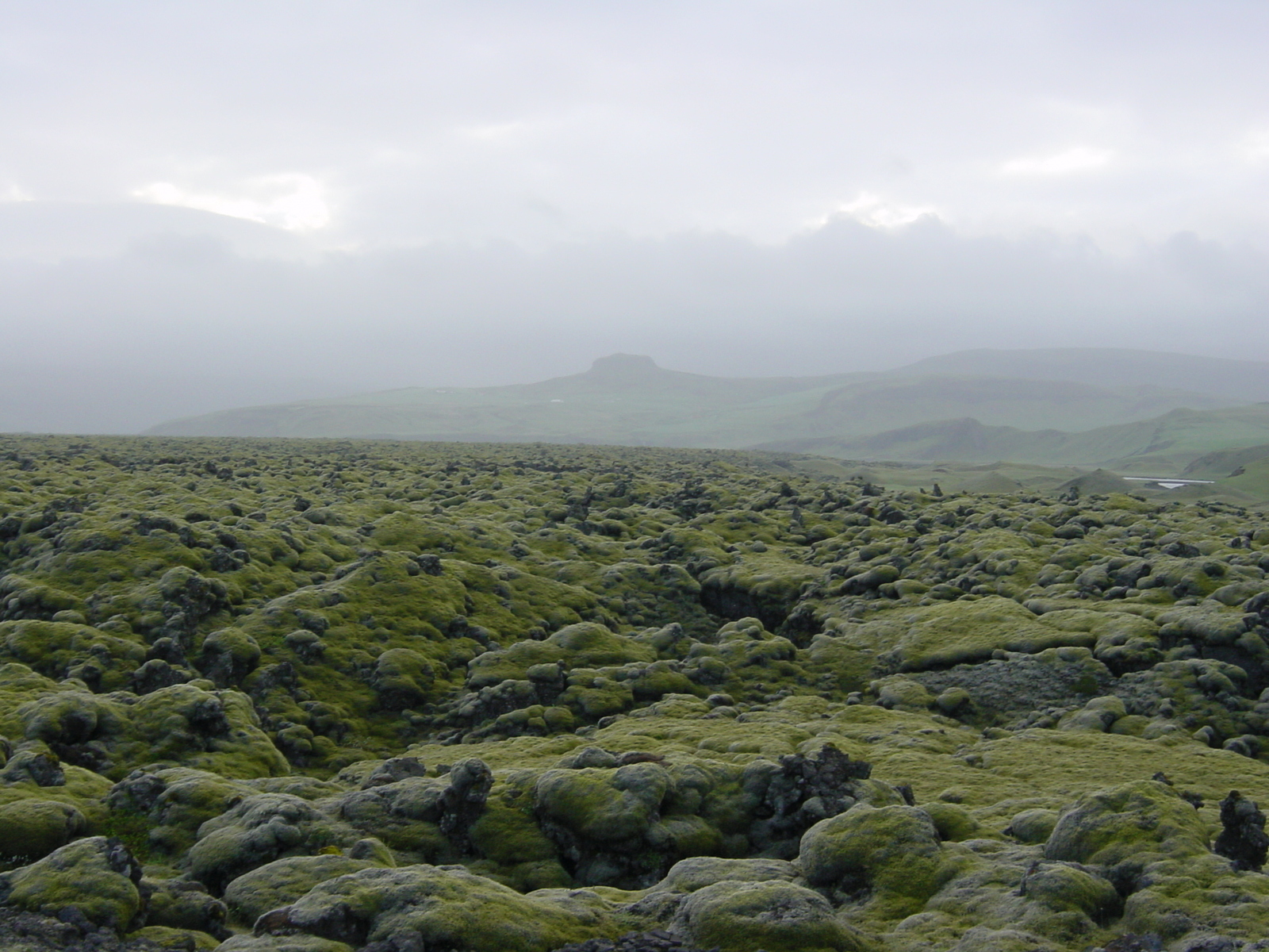 รูปถ่าย ไอซ์แลนด์(Iceland) ถนนหมายเลข 1 จากโยกุลซาร์เลานไปวีก(Road 1 Jokulsarlon to vik) 2003-06 44