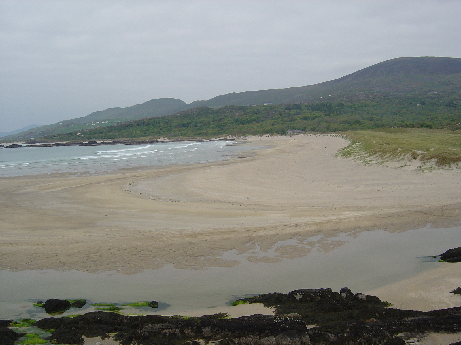 รูปถ่าย ไอร์แลนด์(Ireland) เคอร์รี่(Kerry) ปาร์คนาสิลล่า(Parknasilla) 2004-05 52