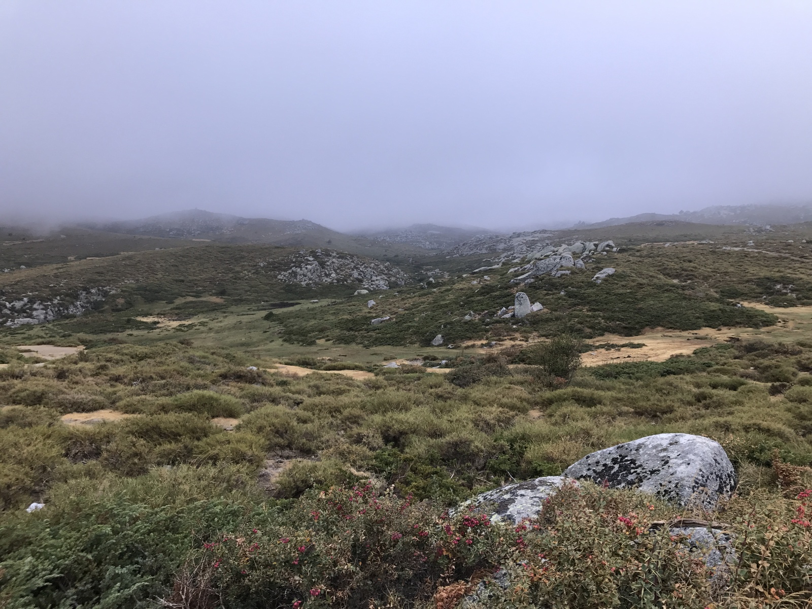 รูปถ่าย ฝรั่งเศส(France) คอร์สิคา(Corsica) อัลตาร็อกกา(Alta Rocca) 2017-09 3
