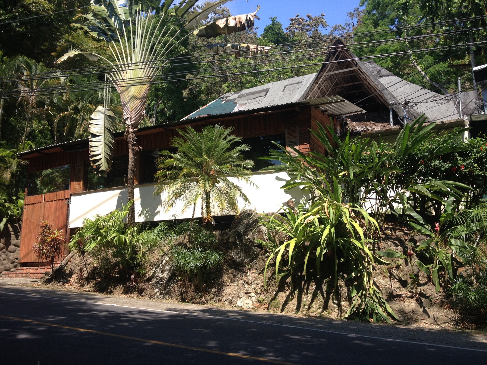 รูปถ่าย คอสตาริกา(Costa Rica) มานวยล์อันโตนีโอ(Manuel Antonio) 2015-03 31