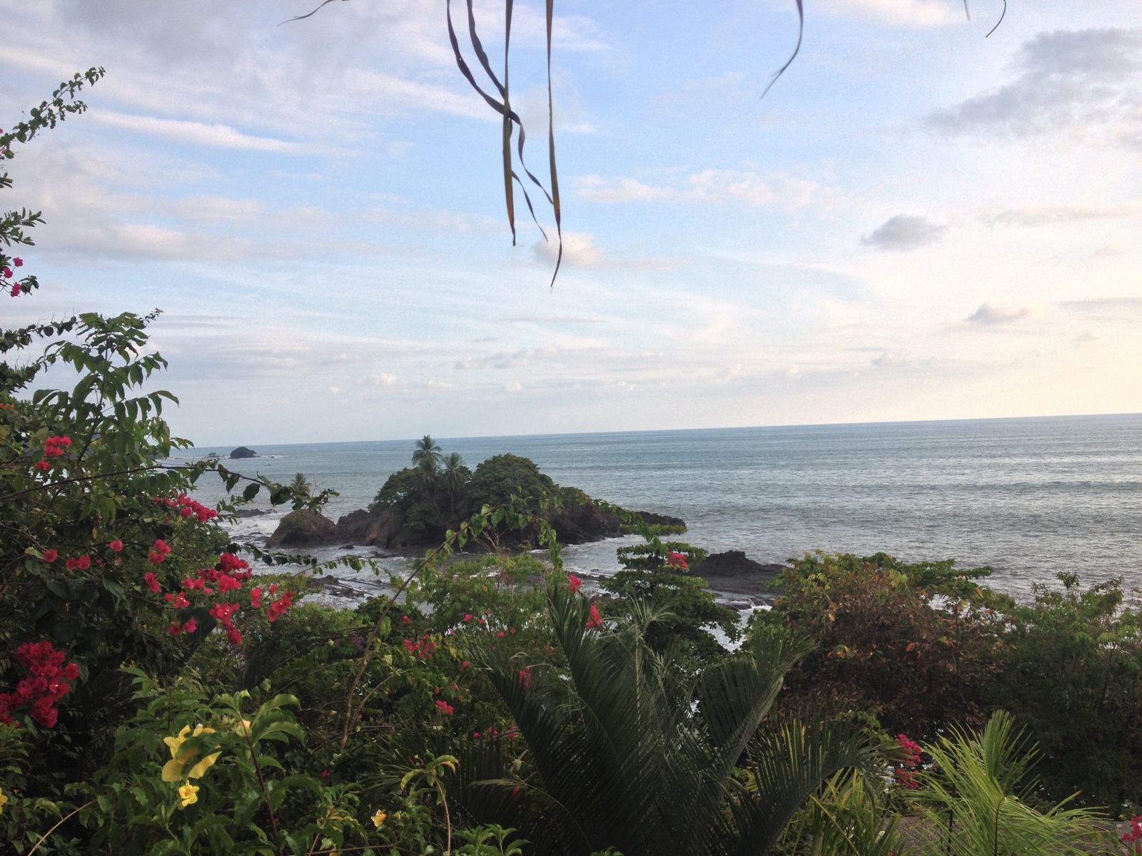 รูปถ่าย คอสตาริกา(Costa Rica) โดมินิกัล(Dominical) 2015-03 28