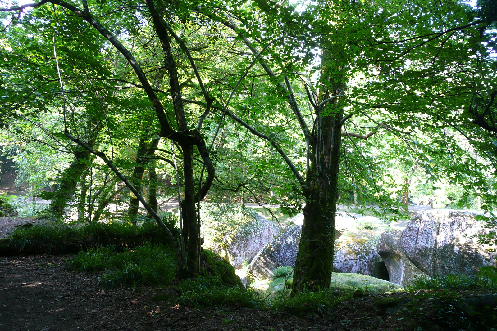 รูปถ่าย ฝรั่งเศส(France) อูแอลโกแอท(Huelgoat) 2007-08 150