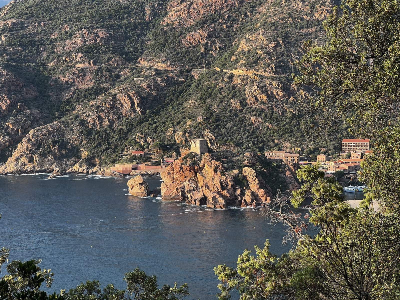 รูปถ่าย ฝรั่งเศส(France) คอร์สิคา(Corsica) ปอร์โต(Porto) 2023-06 35