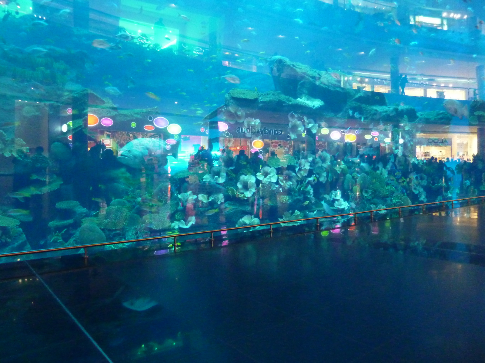 รูปถ่าย สหรัฐอาหรับเอมิเรตส์(United Arab Emirates) ดูไบ(Dubai) ดูไบมอลล์(The Dubai Mall) 2009-12 12
